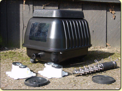 Yamitsu Hi-Flow Professional Pond Air Pump - Pond Pumps - Koidivision - 1