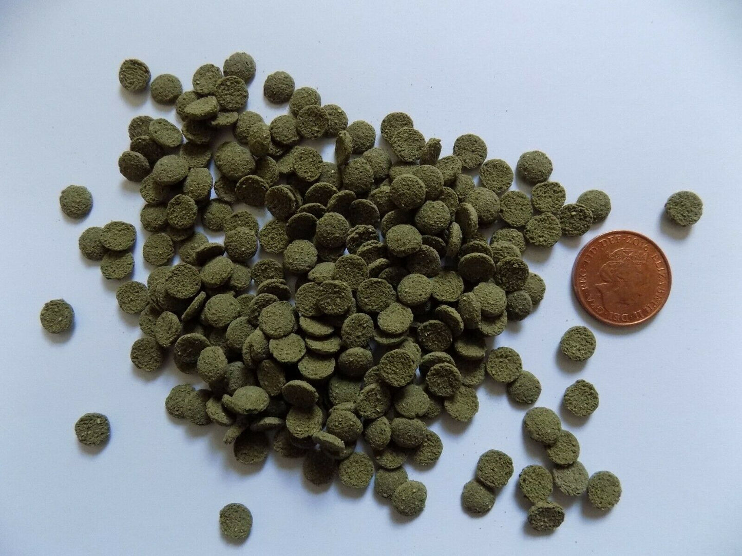 Spurulina Algae 6mm Tropical Fish Food Wafers