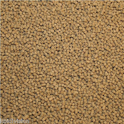 High Protein Growth Pellet Food 500g-10kg - Koi Food - Koidivision - 1