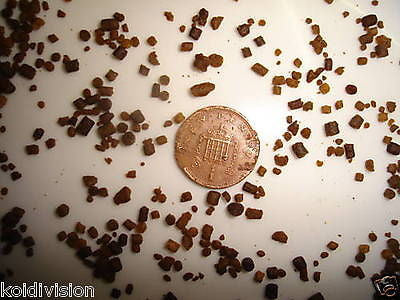 Koi Goldfish Baby Fry Food 2nd Stage