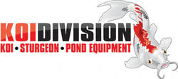 Koidivision