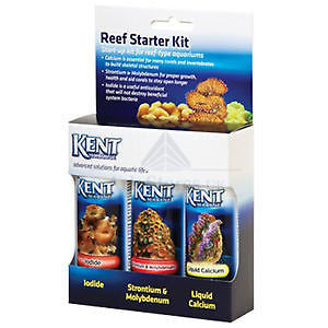 Kent Marine Reef Starter Start Up Kit - Coral & Live Rock - Koidivision