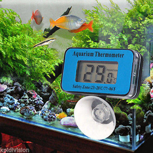 LCD Water Submersible Aquarium Thermometer - Aquarium Accessories - Koidivision - 2